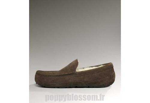 Superbe Ugg Bottes-052 Ascot au chocolat?